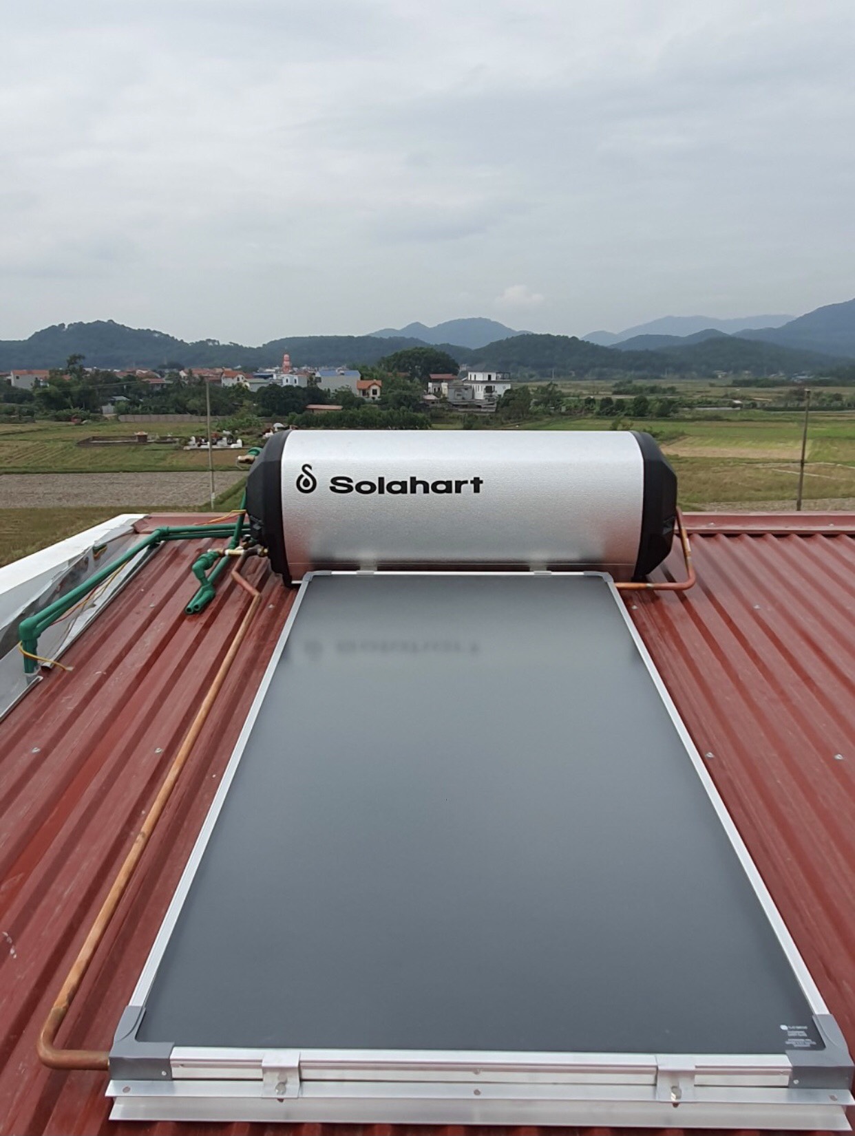 z3942524006682_5eb0f90617979b324a4e1c35f4994c0b