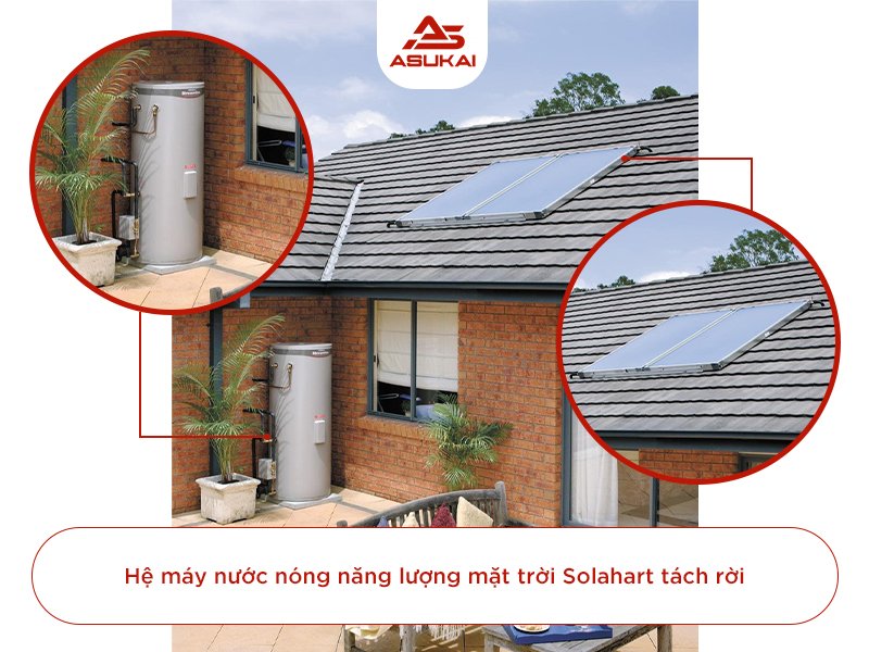 Công ty Asukai: Đơn vị đi đầu về giải pháp năng lượng tái tạo tại Việt Nam