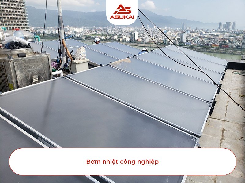 Công ty Asukai: Đơn vị đi đầu về giải pháp năng lượng tái tạo tại Việt Nam
