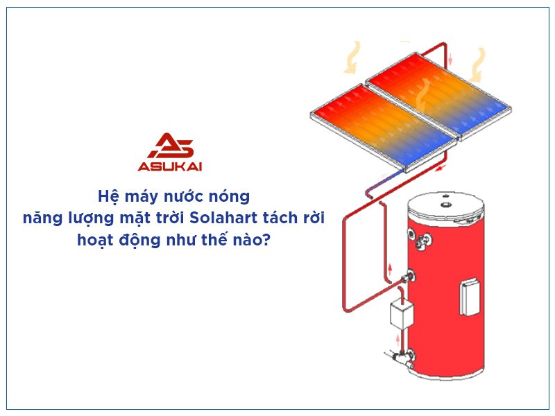 Hệ máy nước nóng năng lượng mặt trời Solahart tách rời - Giải pháp cấp nước nóng an toàn cho gia đình